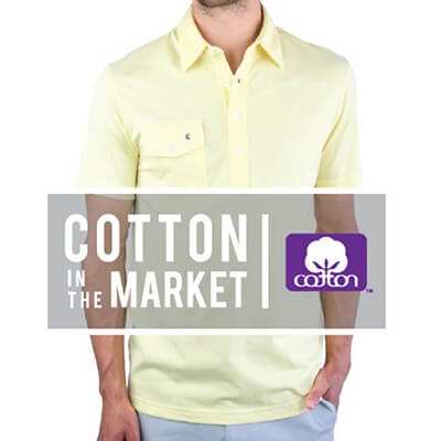 Cotton in the market - Criquet
