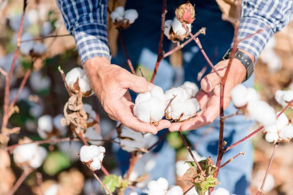 Using fiber science to make a case for cotton CottonWorks™