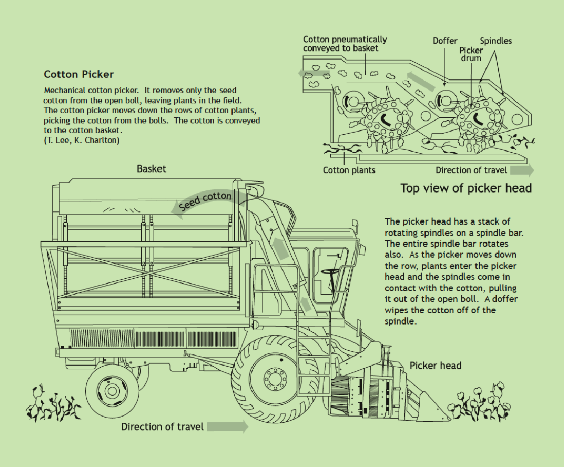 Cotton Harvesting Methods and Cotton Ginning Procedures CottonWorks™