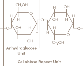 Cellobiose Repeat Unit