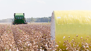 U.S. Cotton Traceability