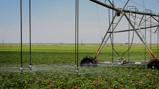 Cotton & Water: Agricultural Water Management