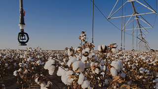 Cotton & Water: Understanding Metrics & Use in Industrial Tools