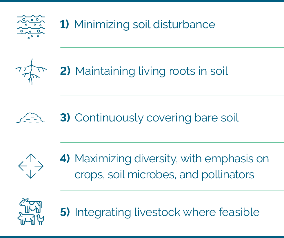 5 principles of regenerative agriculture