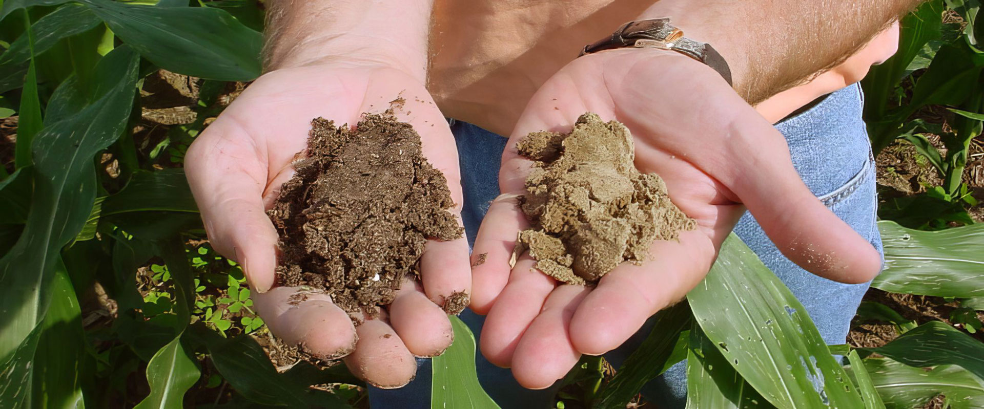 no-till soil vs tilled-soil