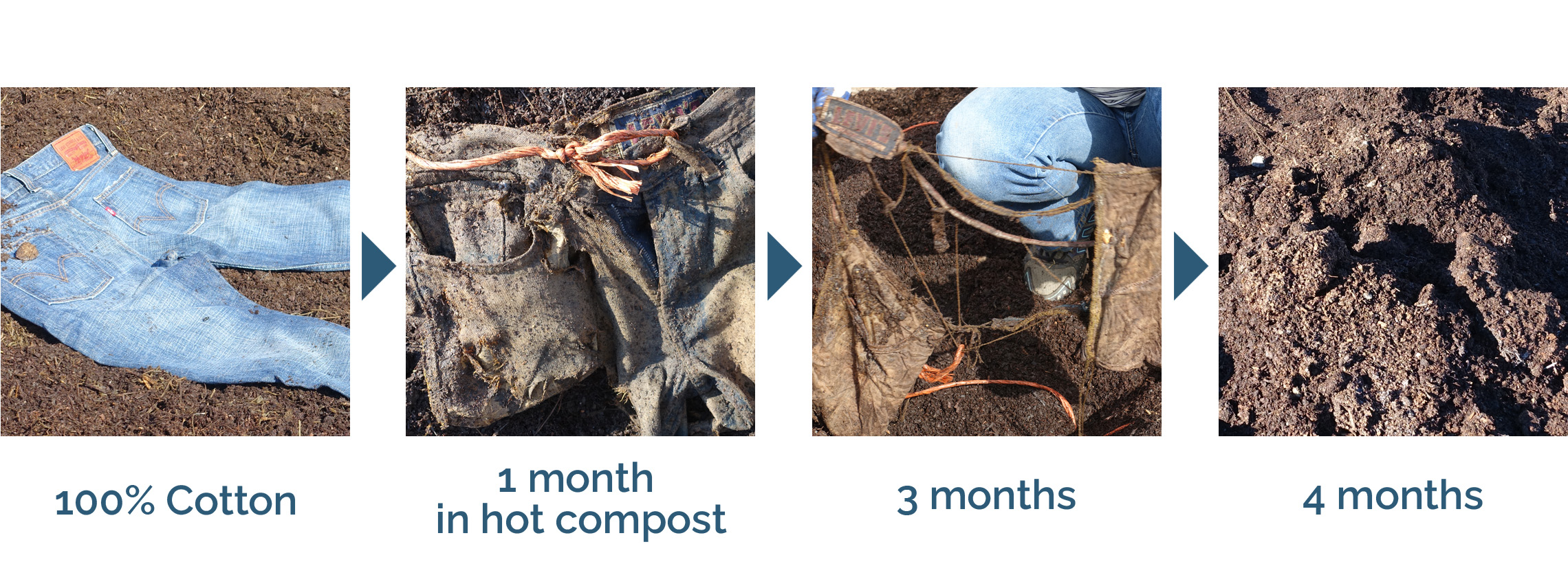 Cotton biodegradability by month