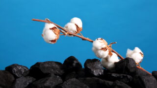 Circular Solutions for Cotton: Turning Textile Waste into Environmental Benefits