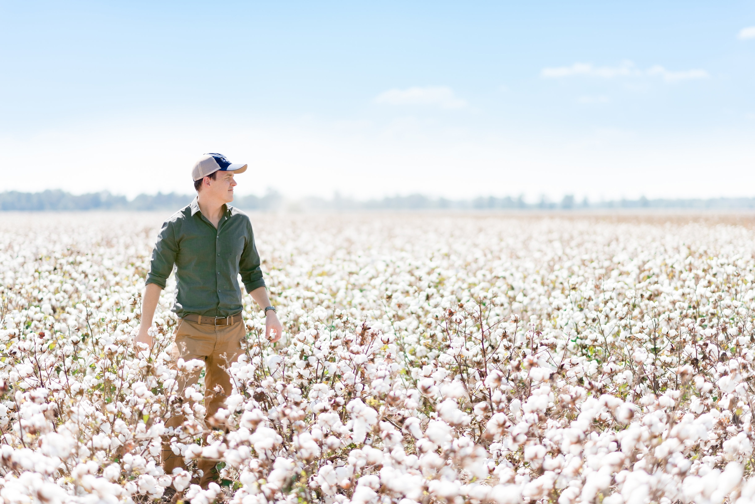 U.S. cotton farmer standing among mature cotton plants in a field.